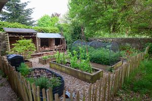 Garden (1)- click for photo gallery